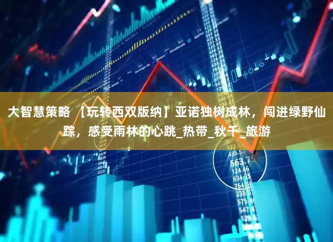 大智慧策略 【玩转西双版纳】亚诺独树成林，闯进绿野仙踪，感受雨林的心跳_热带_秋千_旅游