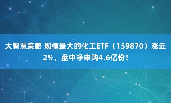 大智慧策略 规模最大的化工ETF（159870）涨近2%，盘中净申购4.6亿份！